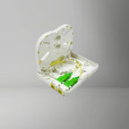 Fiber Termination Box - 2 Core - BRAYTIMES