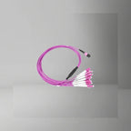 MPO - LC cable, 12 core - BRAYTIMES